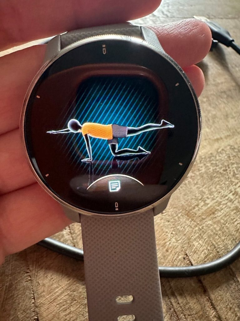 Garmin Venu 2 Plus 7